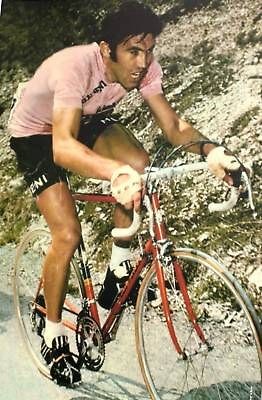 EDDY MERCKX RETRO GIRO DITALIA POSTER TEAM MOLTENI #3