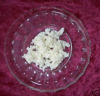 ORGANIC MILK KEFIR GRAINS   We are the oldest  culture sellers