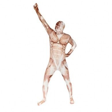 MORPHSUIT === Muscle Morphsuit === ADULT XX LARGE