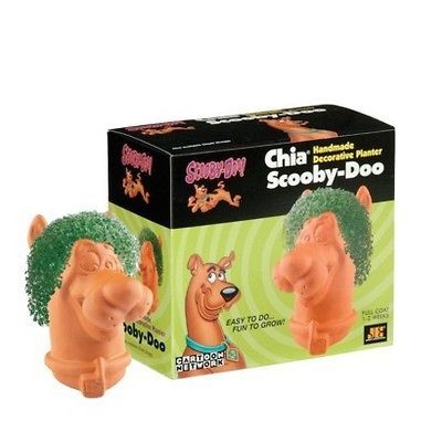 NEW Scooby Doo Chia Pet Head Handmade Decorative Planter Indoor 