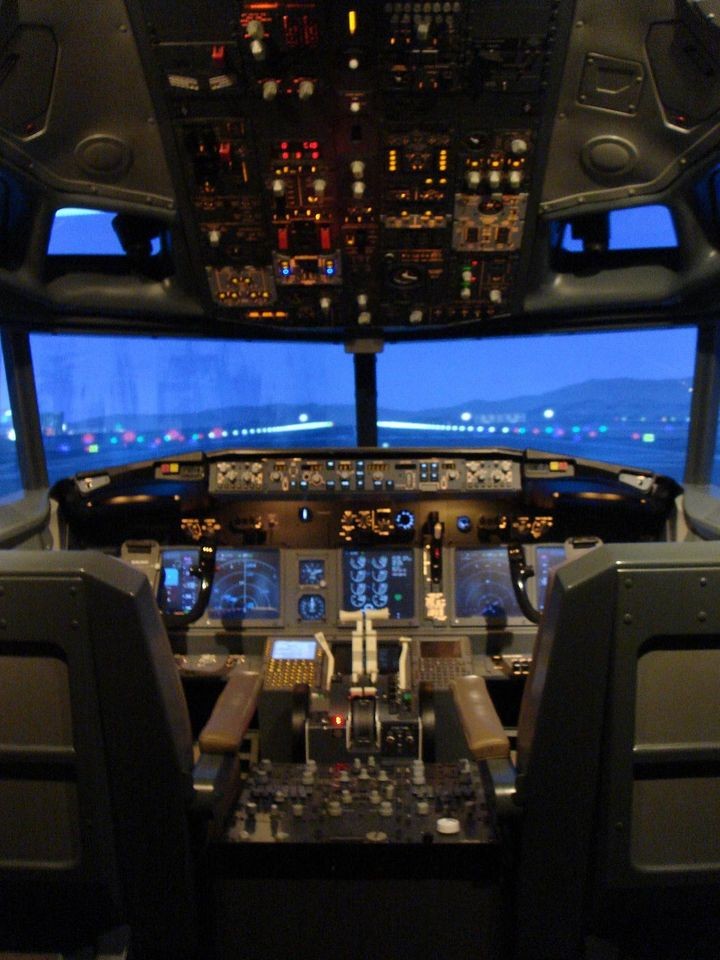 Flight Simulator pro. built,, one of a kind,, like real