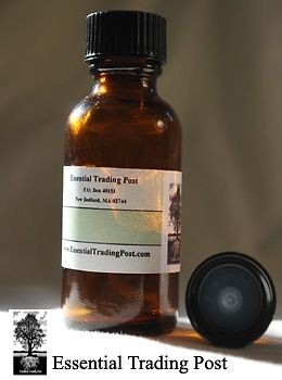 Oregano Oil Essential Trading Post Oils 1 oz