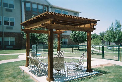 10 x 10 Cedar Pergola   Arbor   Trellis   Patio Cover   THE GAZEBO 