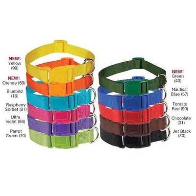 nylon dog collar in Nylon Collars