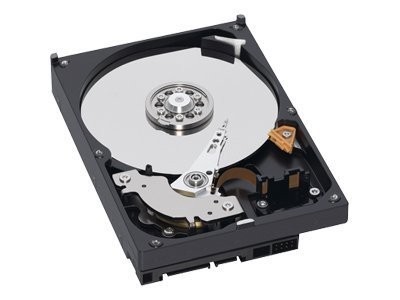   Digital RE2 GP 750 GB,Internal,72​00 RPM (WD7500AYPS) Hard Drive