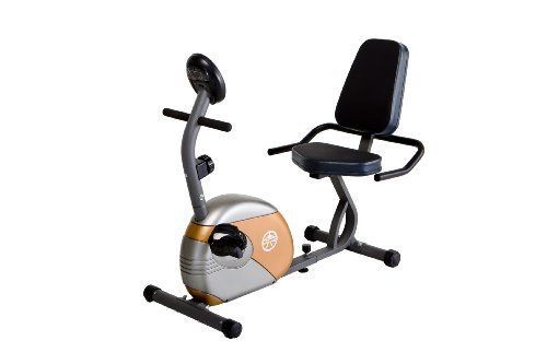 recumbent exercise bikes in Exercise Bikes