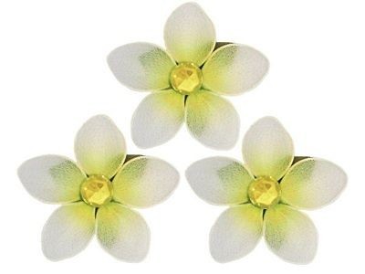 Yellow plumeria flower nursery girls room decoration