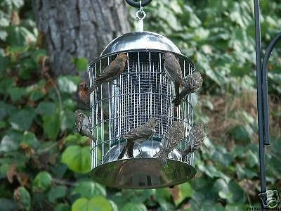 bird feeders in Seed Feeders