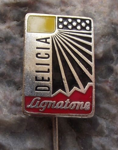   Delicia Acordian Mandolin Harmonicas of Czechoslovakia Advertising Pin