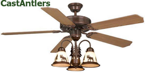 rustic ceiling fan in Ceiling Fans