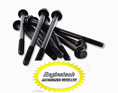   GM 350 5.7L V8 LT1 LT 1 P CYLINDER HEAD BOLTS (Both Heads