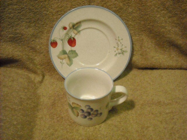 Savoir Vivre Luscious JJ017 Cup (s) & Saucer (s)