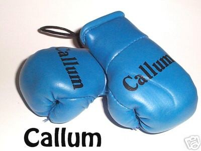Baby Blue Mini Boxing Gloves printed Callum