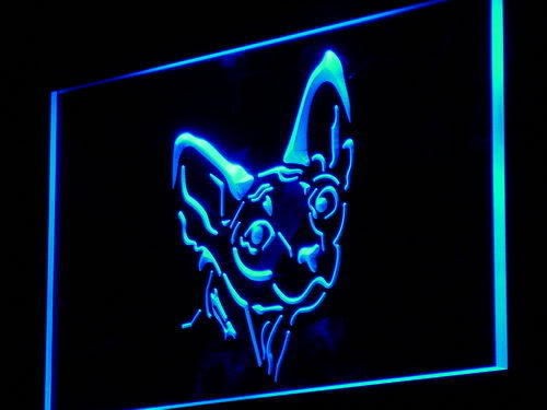 i988 b Sphynx Canadian Hairless Cat Shop Light Sign