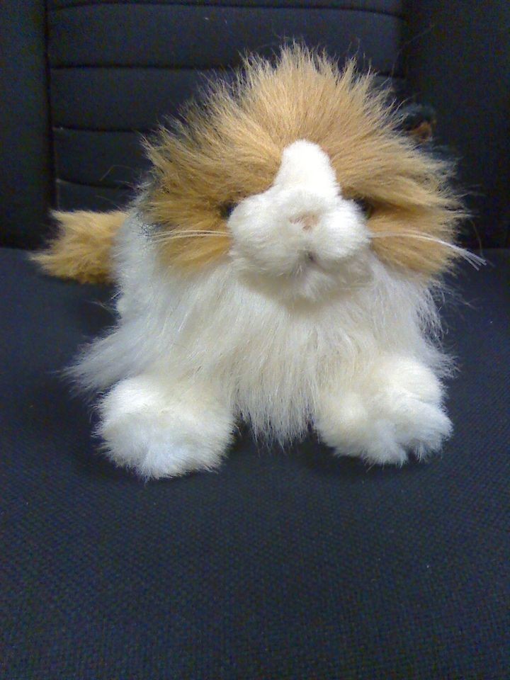 Chosun International Gorgeous Angora Cat Plush 16 Inches   Almost 