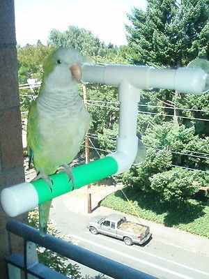   & WINDOW PARROT BIRD PERCH ALL SIZE BIRDS COLOR cockatiel, conure