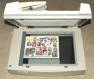 large format scanner in Scanners