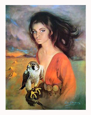 LOU SHABNER FALCONER 26X18 CANVAS REPRODUCTION PRINT QUALITY GLOSS 