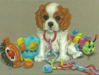 cavalier king charles spaniel puppies