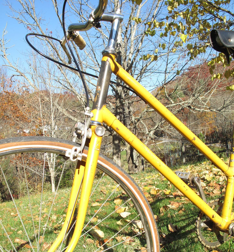 vintage raleigh record bicycle 1968 one speed freewheel