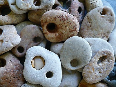 NATURAL WISHING STONES17 holey beach stones, hag, fossil, collection 