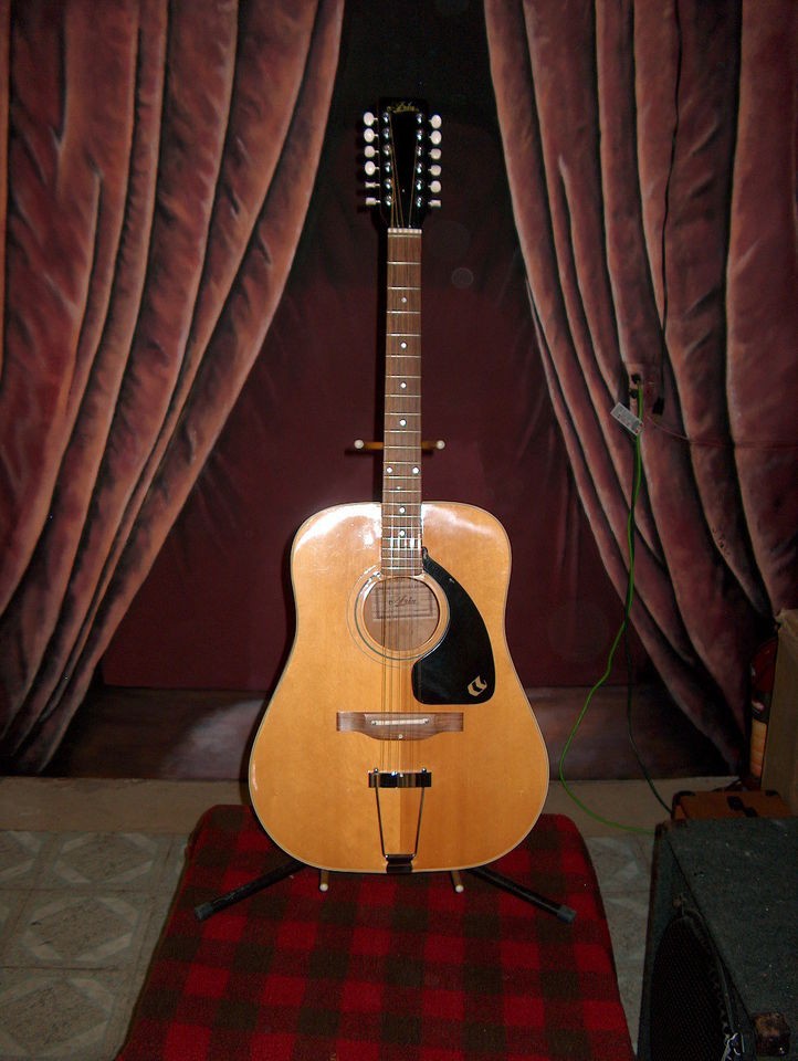 aria acoustic guitar in Acoustic