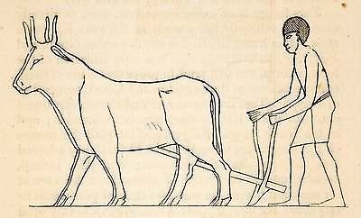 1836 Wood Engraving Egyptian Agriculture Farmer Plowing Oxen Yoke 