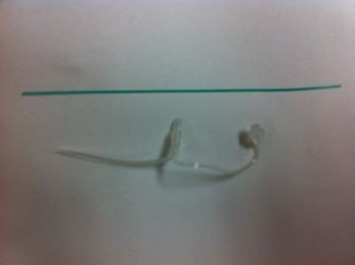 Phonak HE clear tubes by Phonak Size 2 Right Side