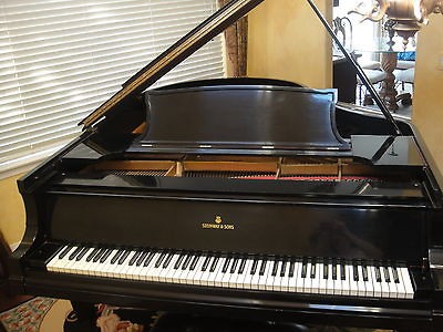 baby grand piano in Piano