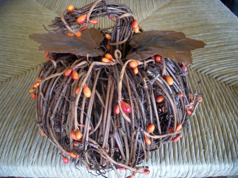 Small Fall Harvest Thanksgiving Display Pumpkin Grapevine Twig Pip 