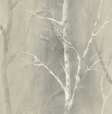 birch wallpaper in Rolls & Sheets