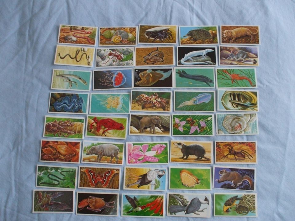 BROOKE BOND CARDSINCREDIBLE CREATURES PO BOX 86 BUY INDIVIDUALLY NO 