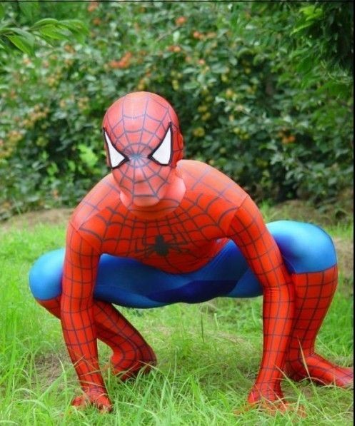 black spiderman costume in Costumes