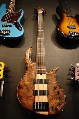 Elrick Platinum E Volution 5 String Thru Neck Bass Guitar