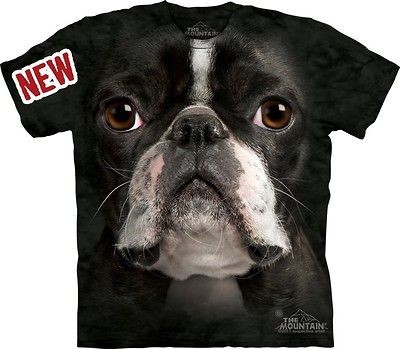 BOSTON TERRIER BIG FACE DOG tee shirt by Mountain size MEDIUM New