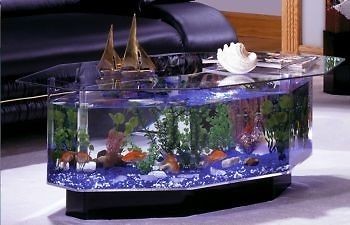   Tropical 680 Stretched Octagon 28 Gal Acrylic Tank Aquarium Table