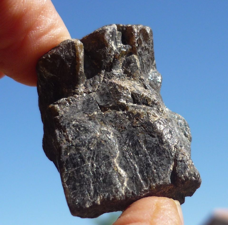 42.5 gram BONDOC METEORITE Acquired by Nininger in 1962   PYROXENE 