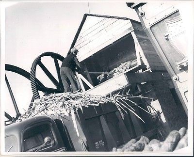 1940 Henry Ford Greenfield Village Michigan Loading Sorghum Machine 