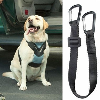 Bergan Dog Auto Safety Seatbelt Travel Harness   Medium, Large & XL 