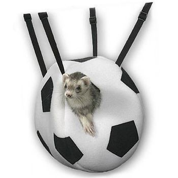 MARSHALL PET FERRET FLEECE SOCCER BALL LOOKOUT 16 BY 12 BED DEN FREE 