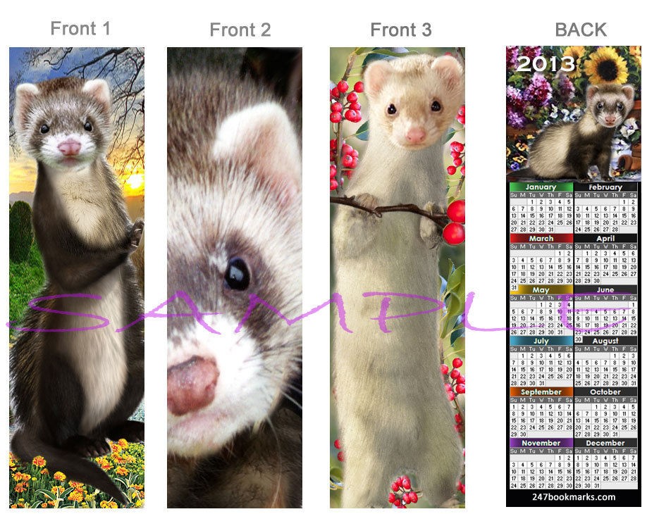 Lot FERRET 2013 CALENDAR BOOKM​ARK PET ART Book Card figurine 