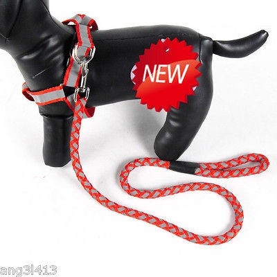 large dog harness walking