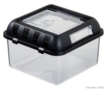 Exo Terra Reptile Stackable Breeding Box Terrarium SM