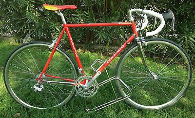 colnago frame in Bicycles & Frames