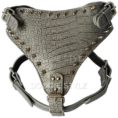   Dog Harness Spikes Cane Corso Rottweiler Terrier Doberman Mastiff