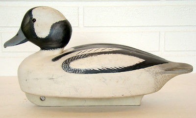 bufflehead decoy in Decoys