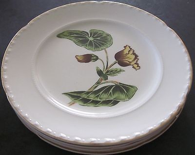 DINNER PLATES LA GRANDE BY CROOKSVILLE USA K T 22 KT GOLD DELMAR 