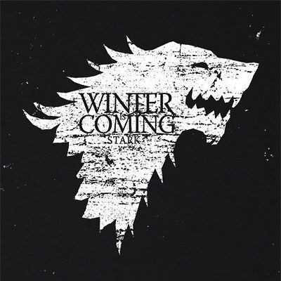 WINTER IS COMING TSHIRT Super Soft GAME OF THRONES TEE Pimp Gimp Stark 