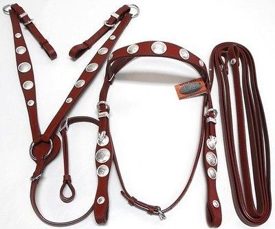 draft horses tack