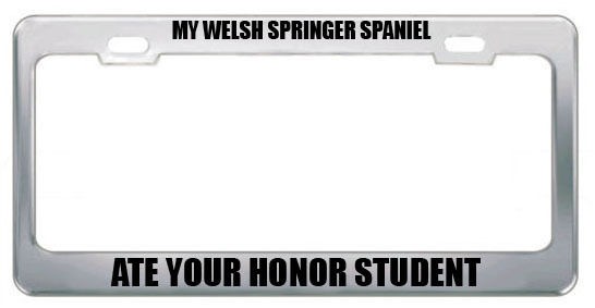 MY WELSH SPRINGER SPANIEL ATE YOUR HONOR STUDENT DOG LICENSE PLATE 
